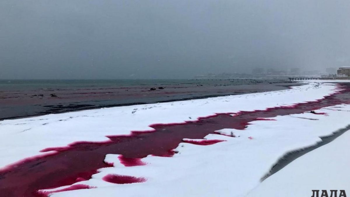 Каспийдің суы қызыл түске боялды (видео)
