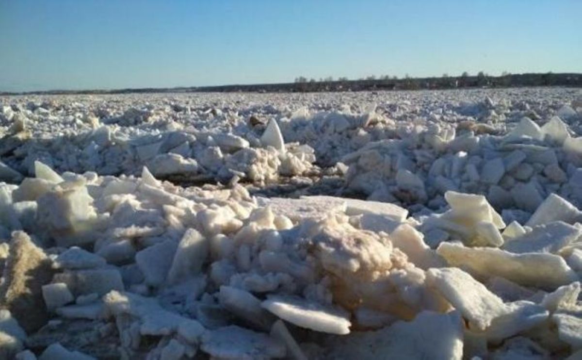 Сырдария арнасынан асып, тасуы мүмкін