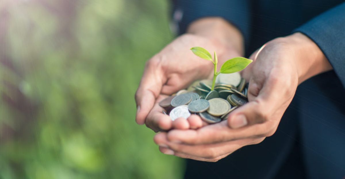 Birgemiz қоғамдық қорына 11 миллиардтан астам теңге түсті