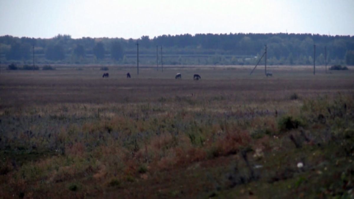 СҚО-да 900 мың гектар жер мемлекет меншігіне қайтарылды