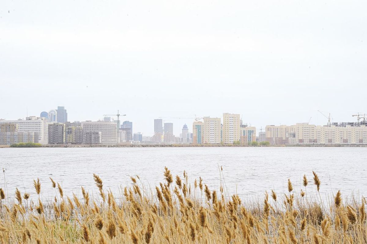 Көлгінов Талдыкөлдің балығы жеуге жарамсыз екенін айтты