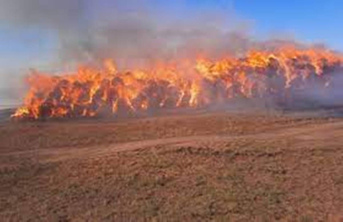 Батыс Қазақстан облысында 64 тоннаға жуық шөп жанып кетті