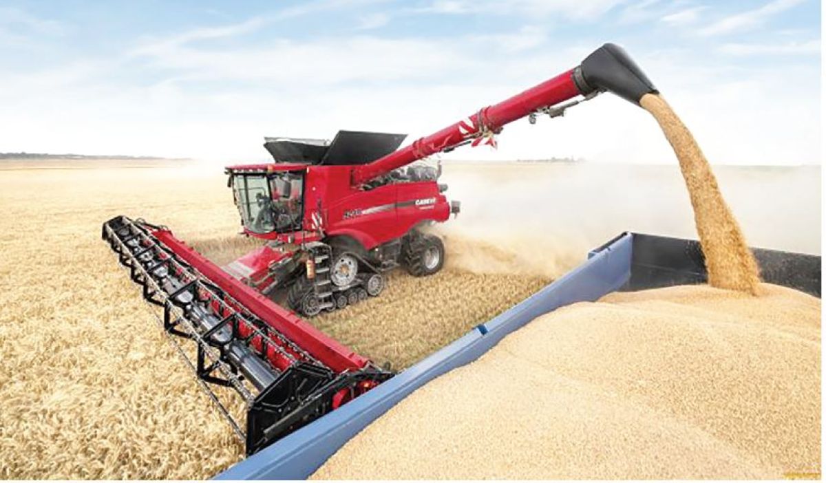 Мол астықтың игілігін кім көреді?