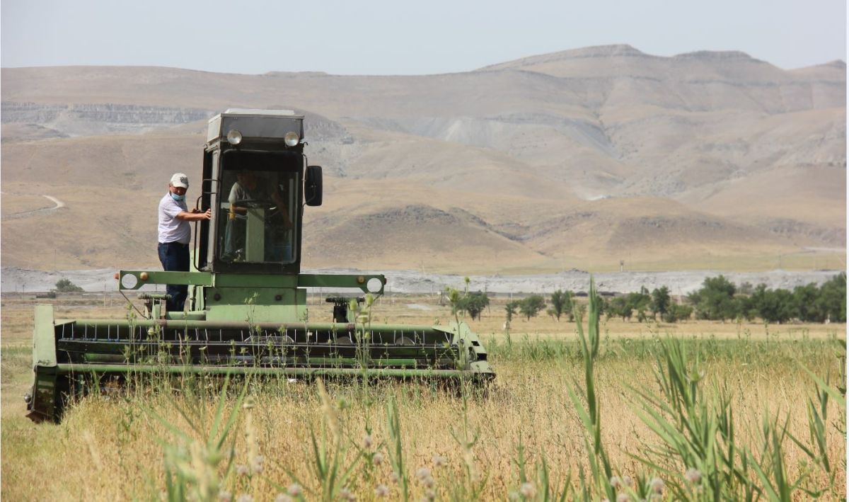 Көш ілгері дамыған өлке