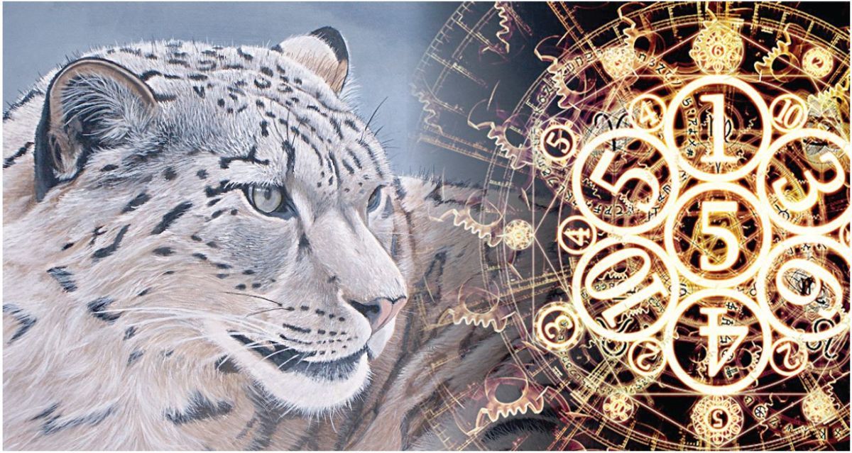 Жаңа жыл жарылқай ма?