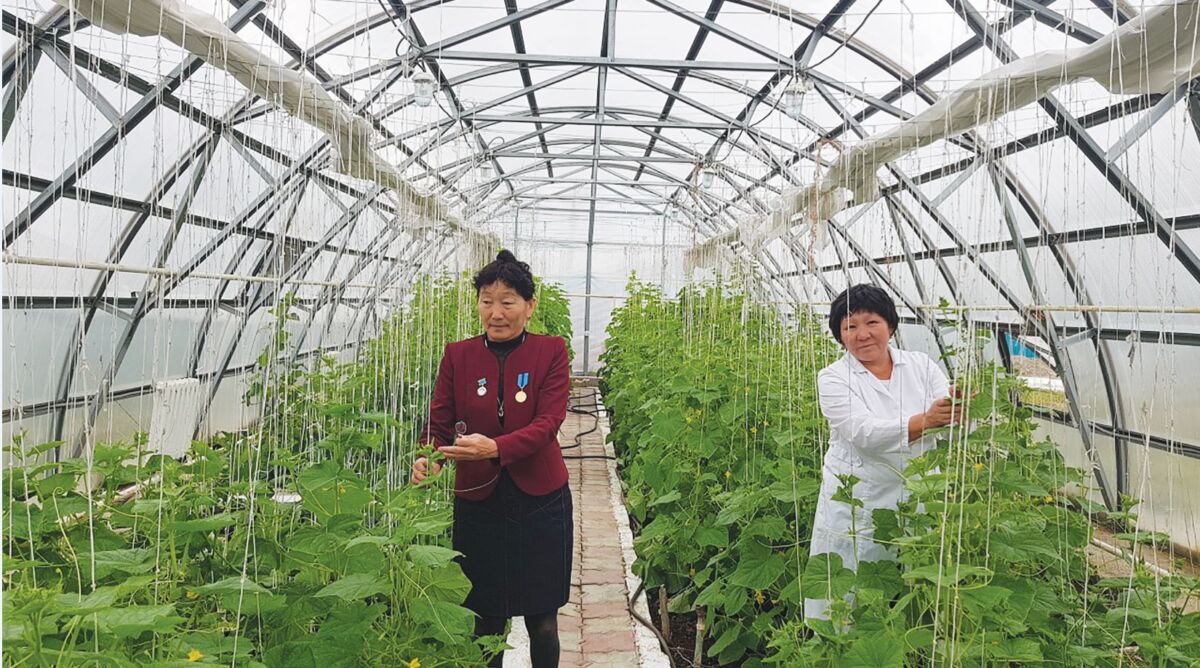 Алыстағы ауылда жылыжай ашқан