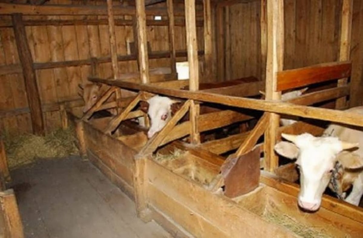 Шымкентте полицейлер 3 баланың әкесін асылып тұрған жерінен тапты