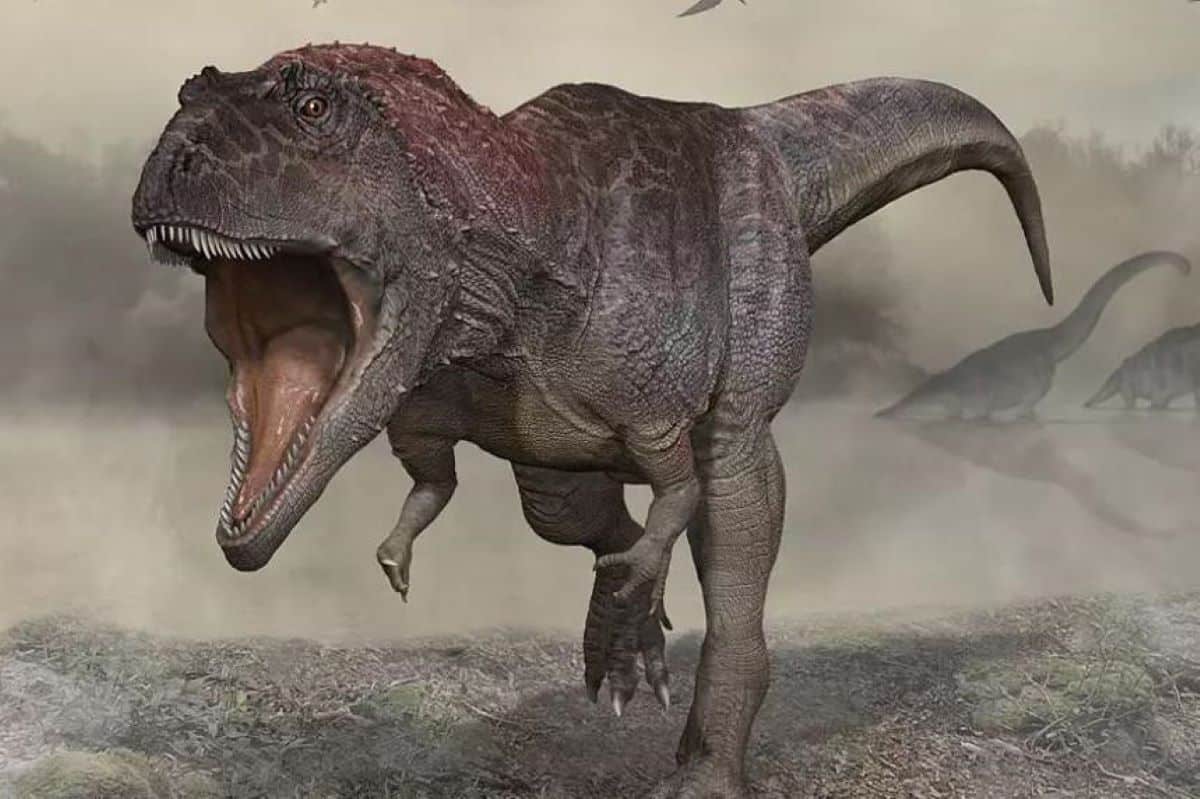 Аргентинада динозаврдың жаңа түрі табылды