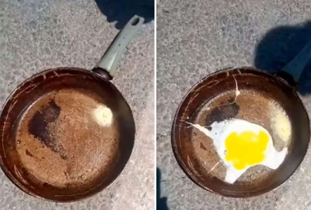 Түркістандықтар аптап ыстықта асфальтқа жұмыртқа қуырды