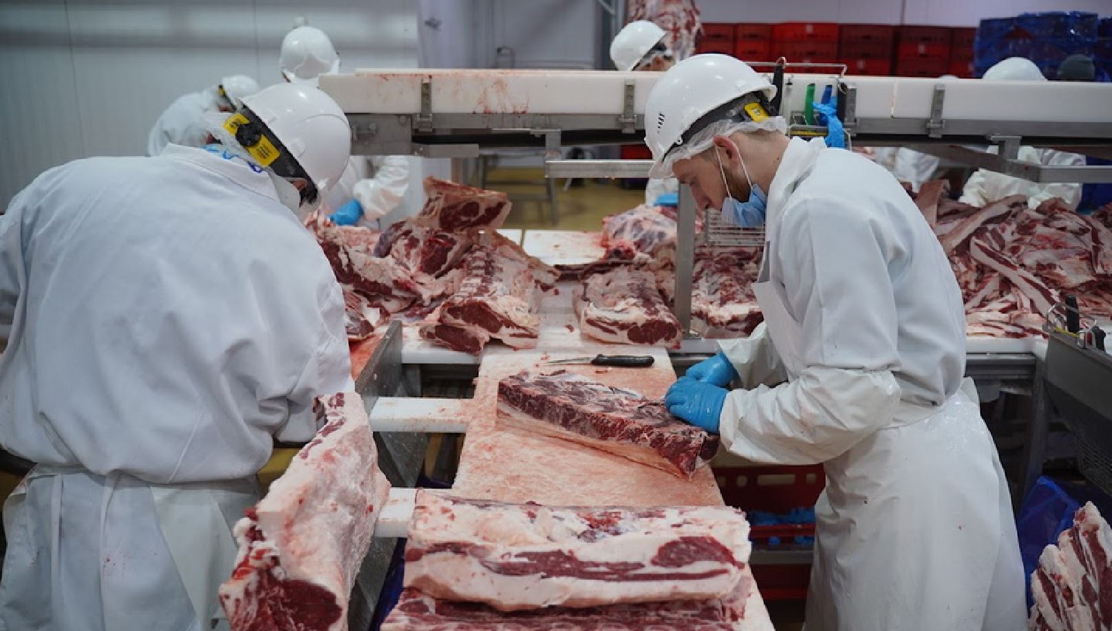 Ақмолада азық-түлік өндіру көлемі ұлғайды