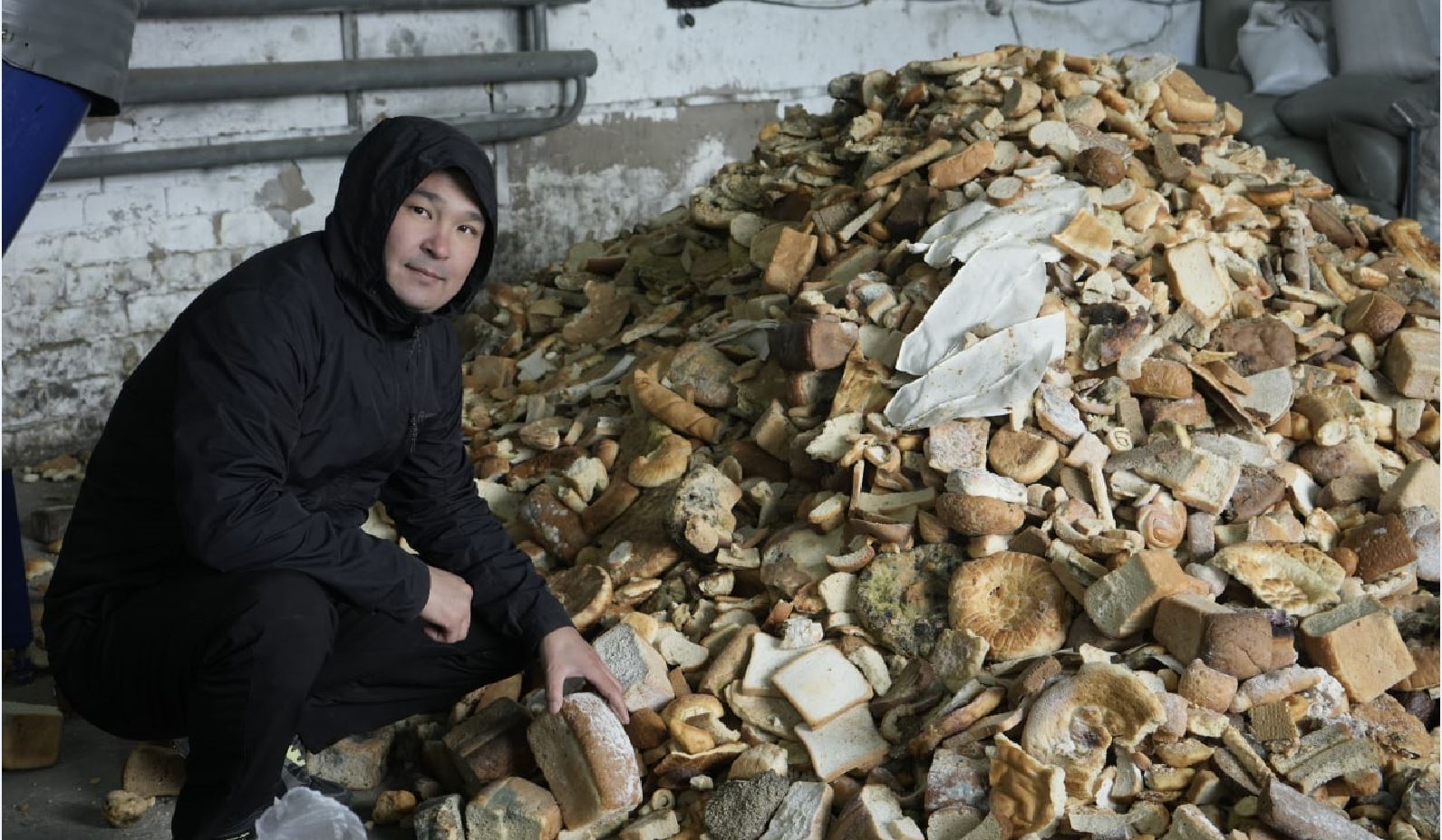 Көгерген нан да кәдеге жарайды