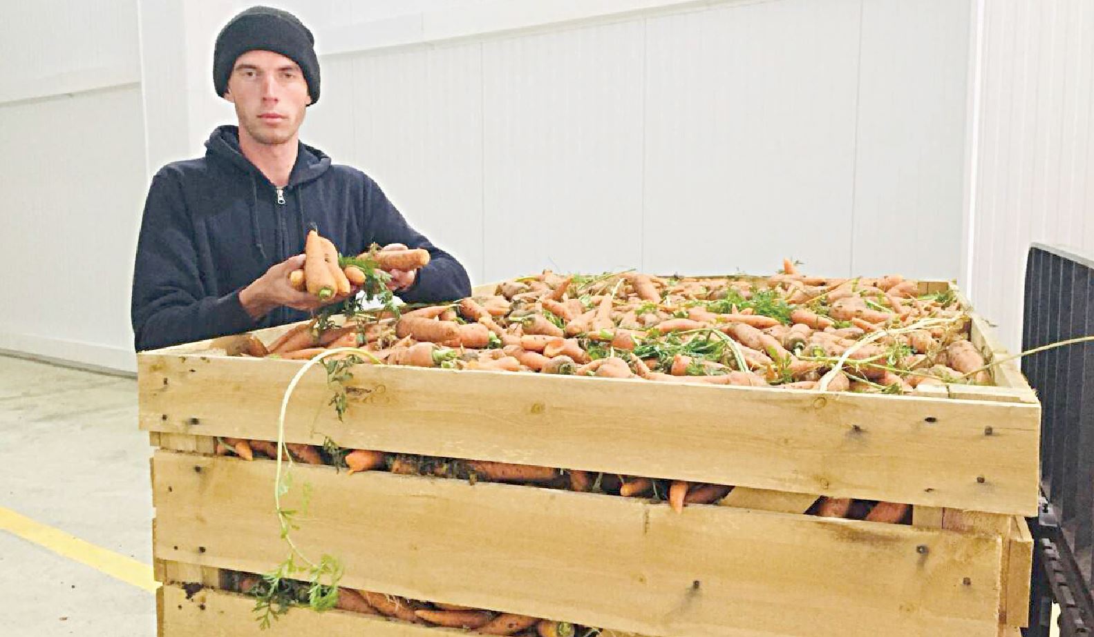 Көкөніс өсіруге көңіл бөлген