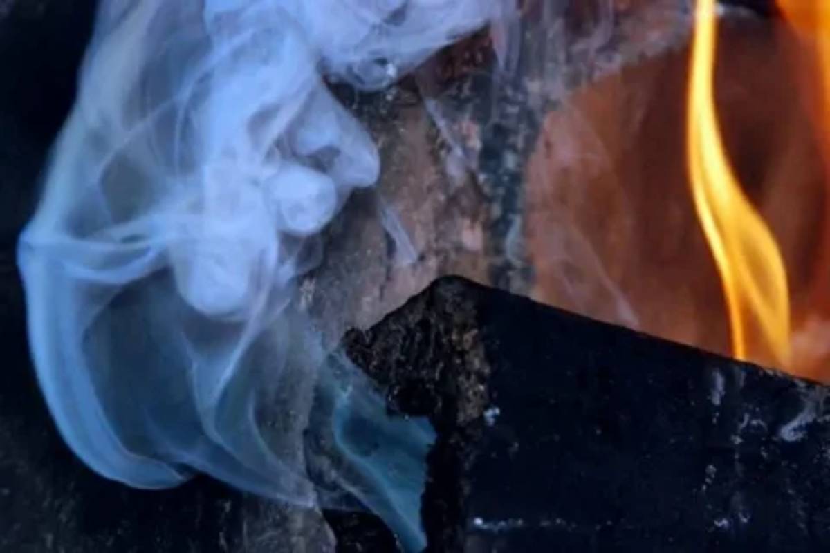 СҚО-да бір отбасының 3 адамы иіс тиіп ауруханаға түсті