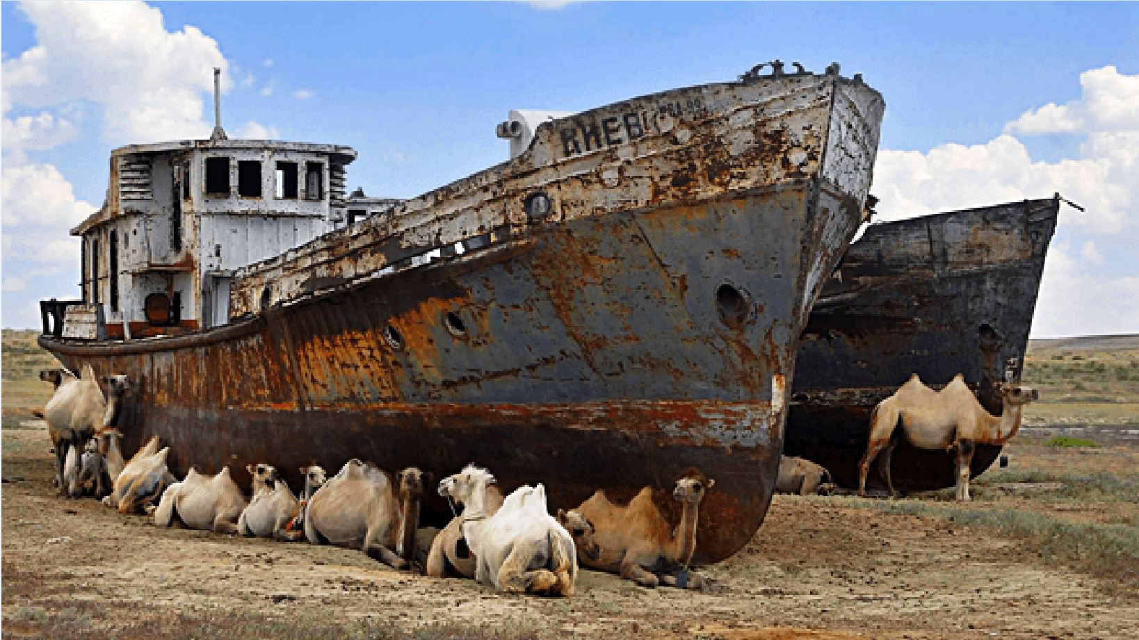 Мәскеудегі өзбек әйеліне телефон соғу «Қызды сиқырлайды» эротикалық фильм