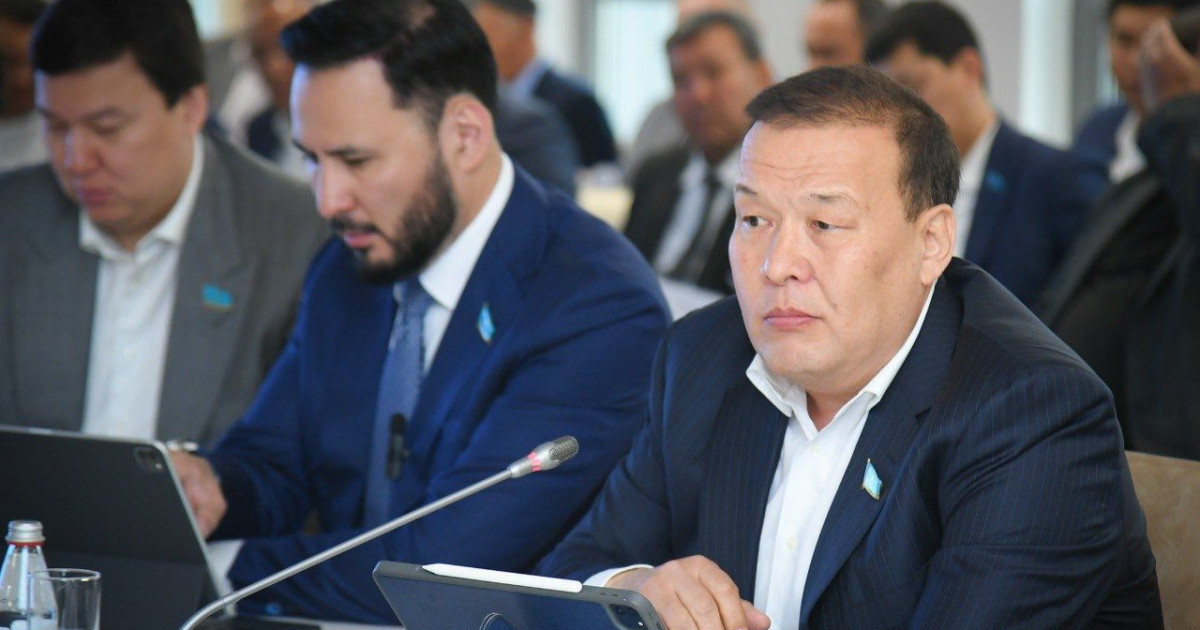 Үкіметтің қолдауынан күдер үзген азаматтар бизнесін сатып жатыр – депутат