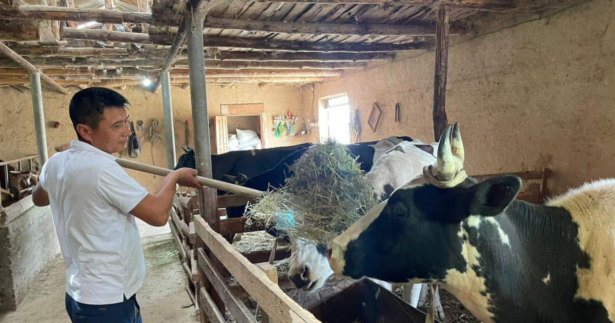 «Ауыл аманаты» жобасы аясында сайрамдық кәсіпкер 2,5 пайызбен несие алып, кәсібін ашты