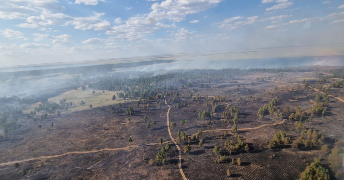 Абай облысындағы орман өртінің беті қайта бастады