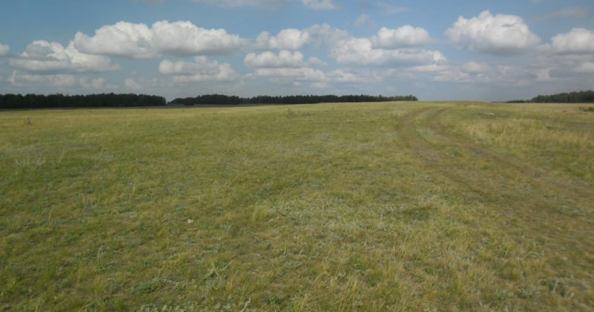 Алматыда әкімдік қызметкері жер учаскесін заңсыз иемденіп алған