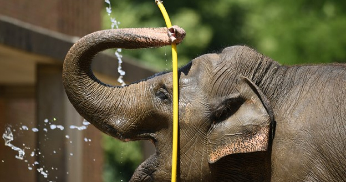 Еуропада туристік орындар жаппай жабылды