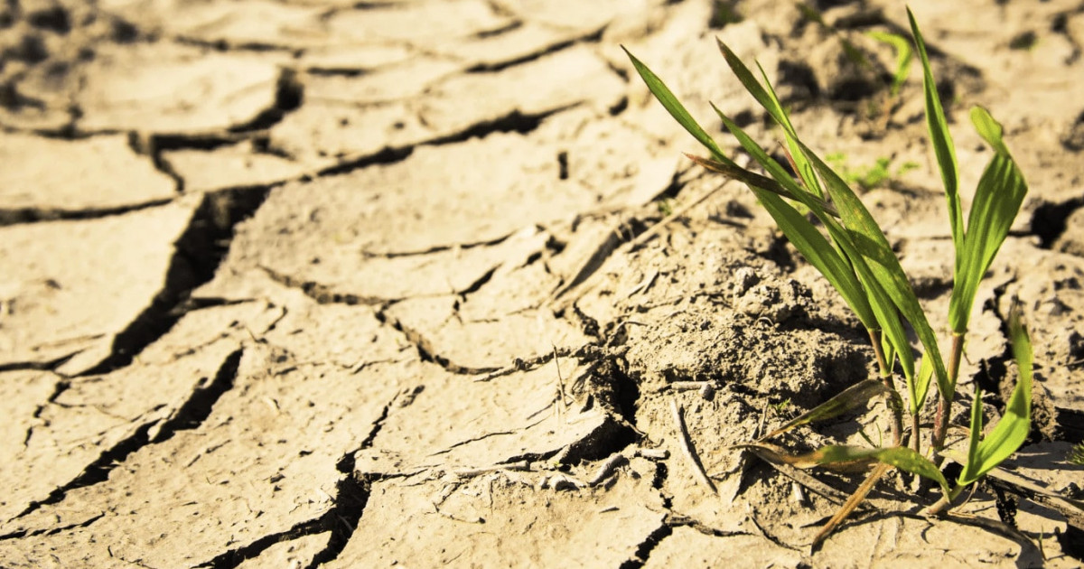 Шілдеде 7 өңірде құрғақшылық болады