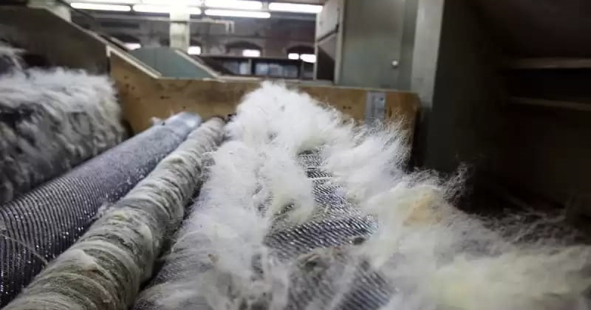 Жүн өңдеу фабрикасы тоқтап тұр