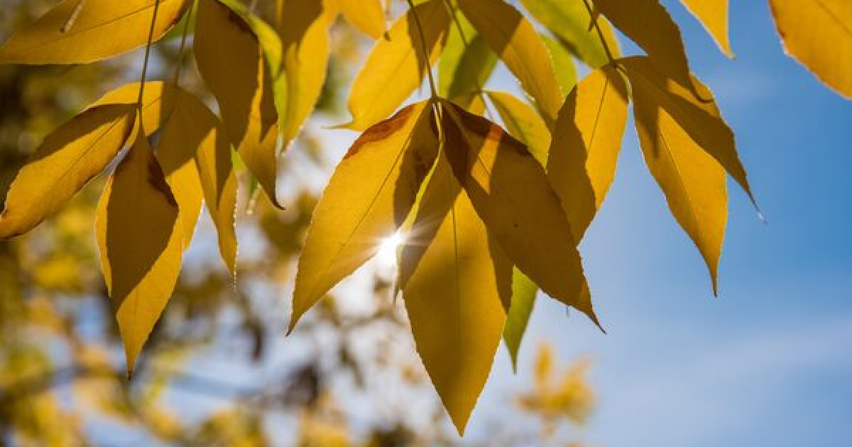 27 қыркүйекке арналған ауа райы болжамы