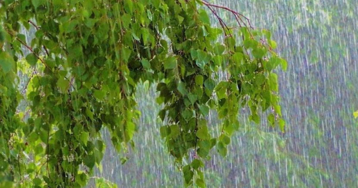 Бүгін жаңбыр жауып, дауыл соғады