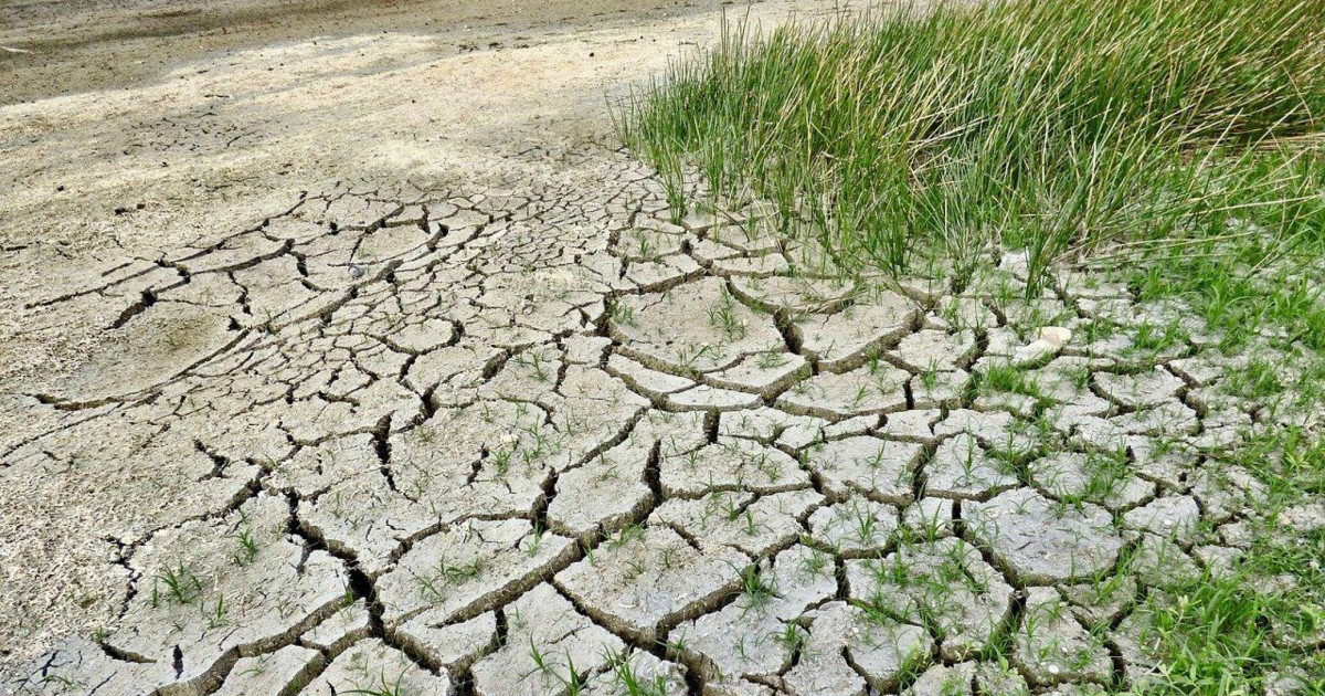 Су проблемасын шешу маңызды – Мәжіліс депутаты