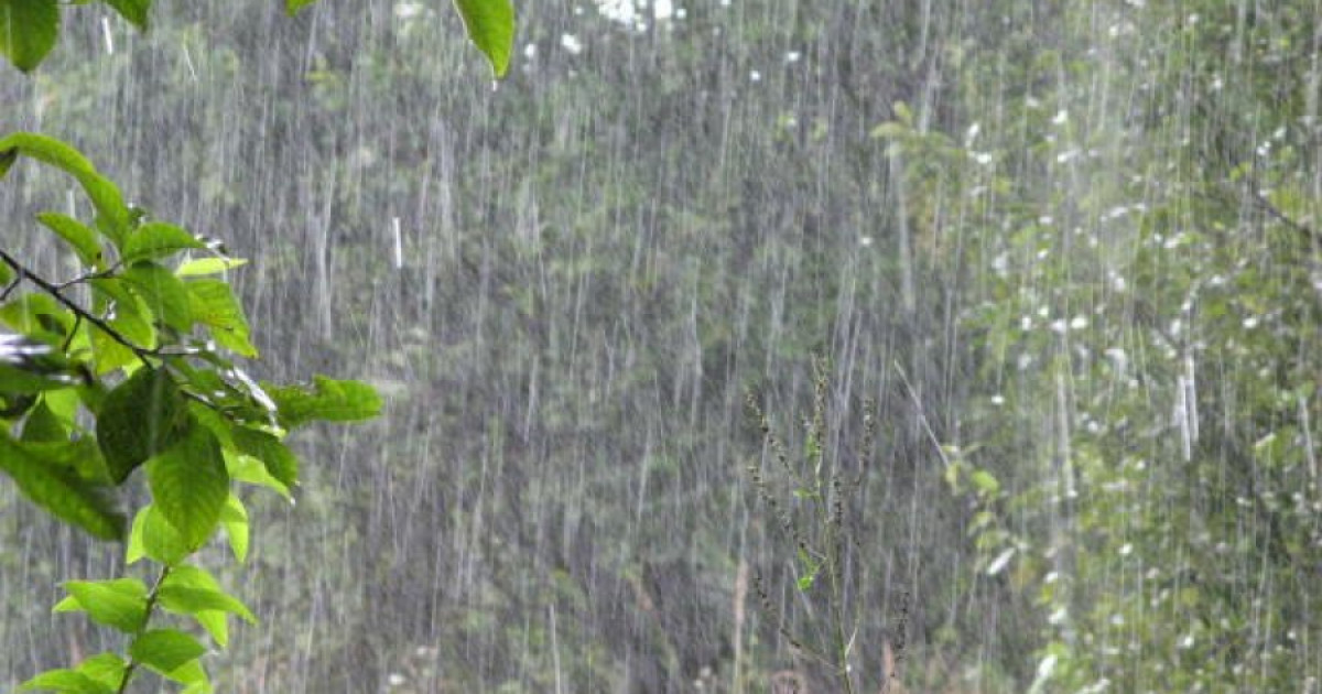 Таулы аймақтарда жаңбырдың соңы қарға ұласуы мүмкін