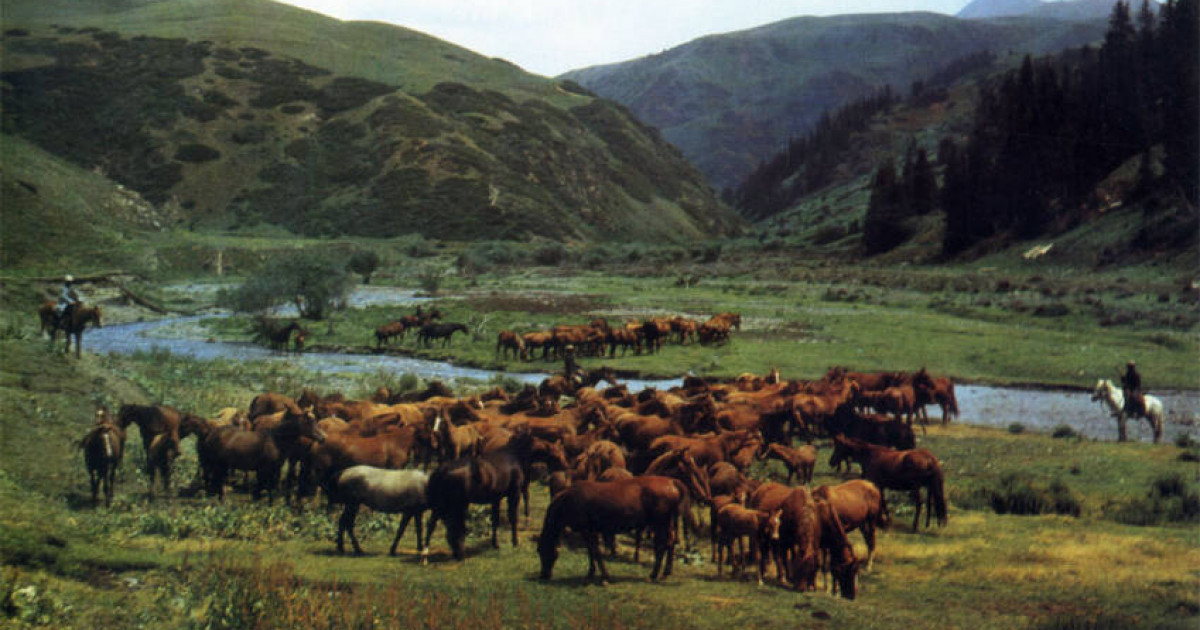 «AMANAT»: «Елмен бірге» телевизиялық жобасы басталды