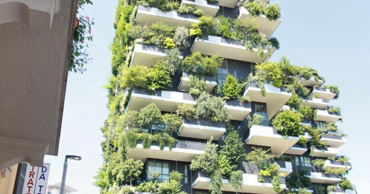 Жоламай-ақ  тақырға, өнім еккен шатырға