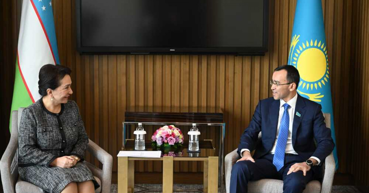 Мәулен Әшімбаев конференцияға қатысқан Танзила Нарбаеваға алғыс айтты