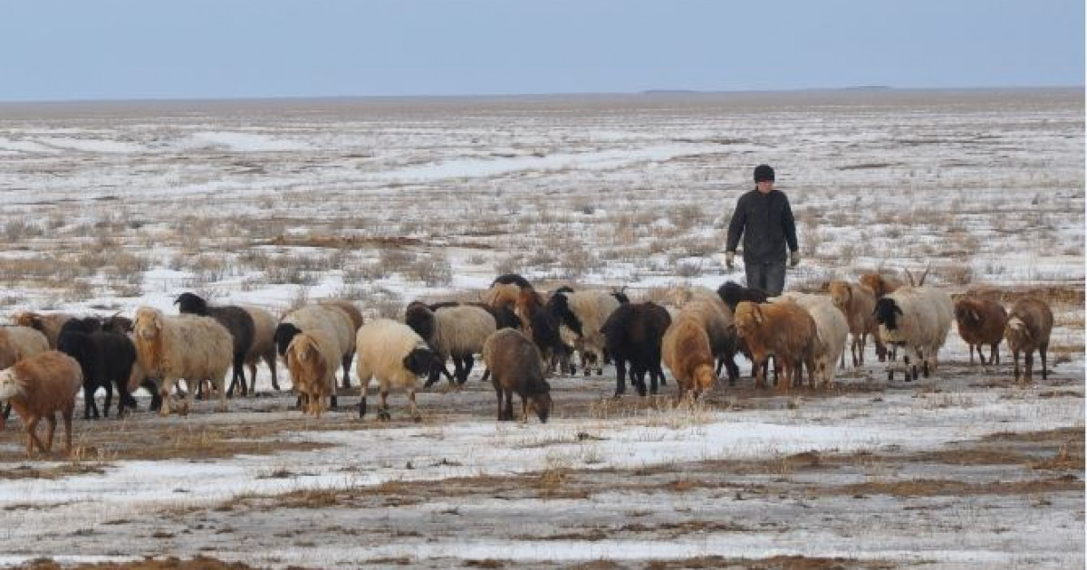 Мал баққанға бітеді