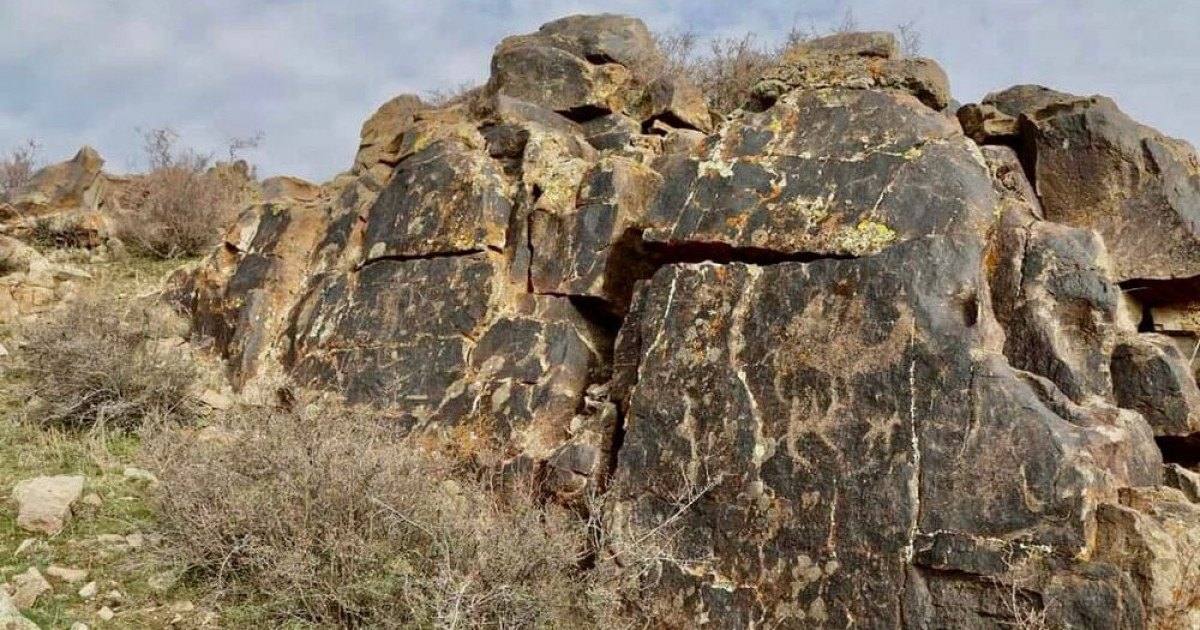 «Тасбақа тастан» 5000-ға жуық петроглиф табылды