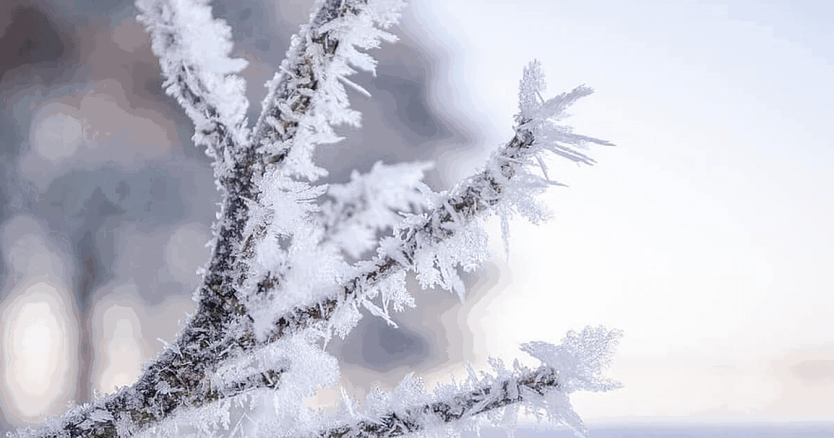 Аяз, тұман, көктайғақ: 17 қаңтарға арналған ауа райы болжамы