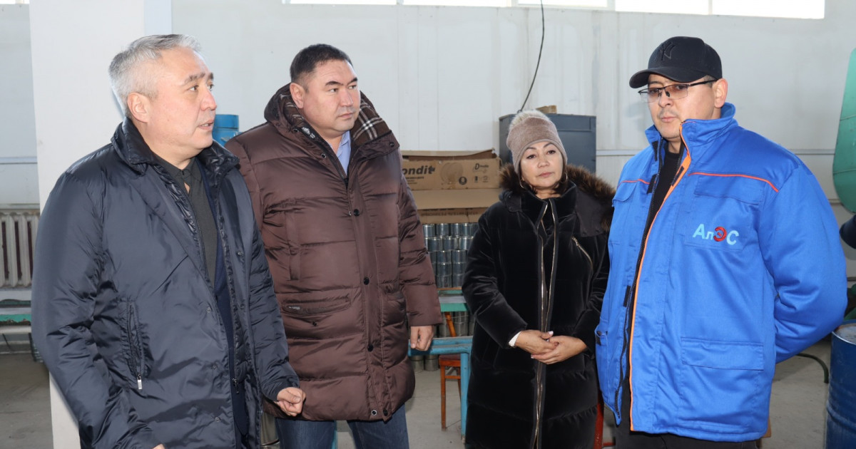 Депутаттар Жетісу облысында кәсіпорындарды аралады