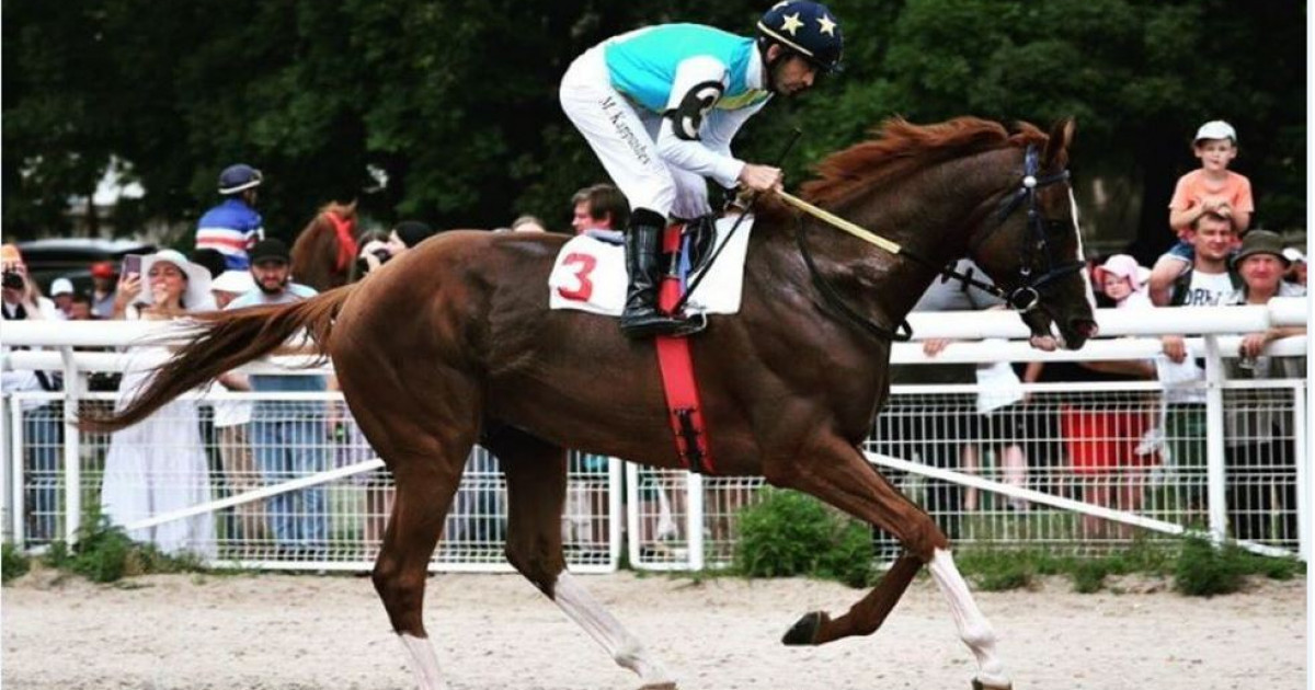 Дубайда шапқан сәйгүлік