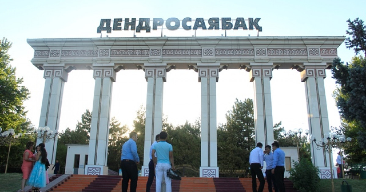 Дендросаябақтың жекеменшікке заңсыз берілген жері мемлекетке қайтарылды