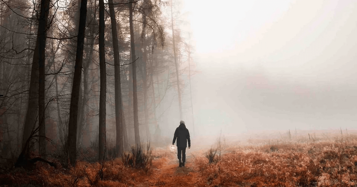 Нартай Аралбайұлы: Орманшылардың жалақысына бар-жоғы 9 мың теңге қосылған