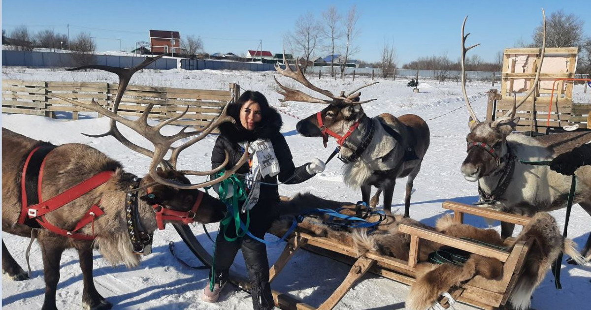 Оралдық Надежда бұғы өсіреді