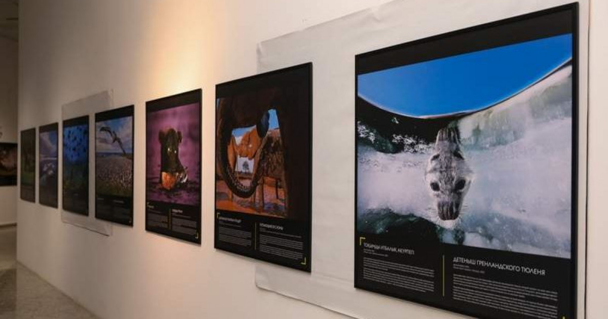 Тұмса табиғаттағы тіршілік