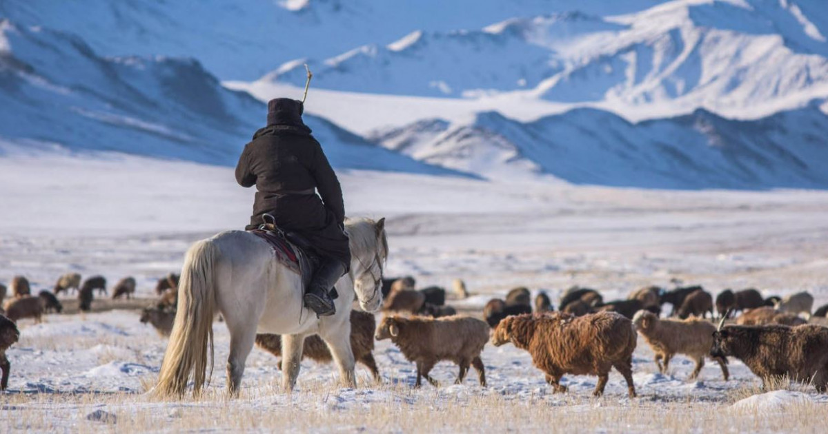 Жайылым бар, жайланғаны санаулы