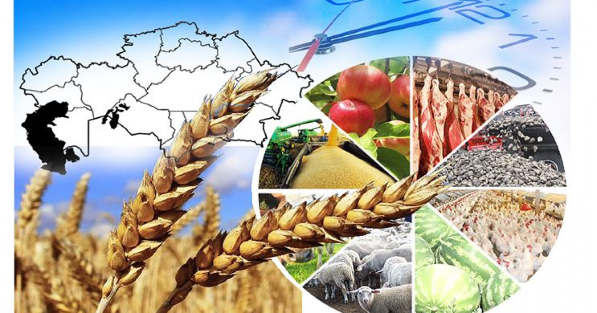 Агроөнеркәсіпті дамыту – басты назарда