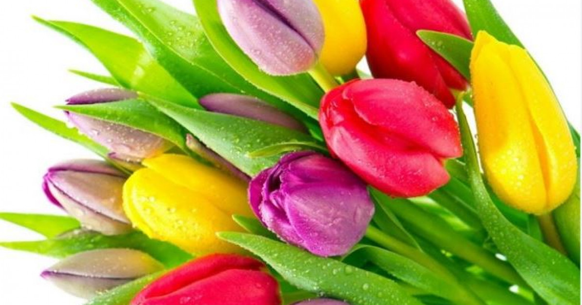 Аманат арқалаған арулар