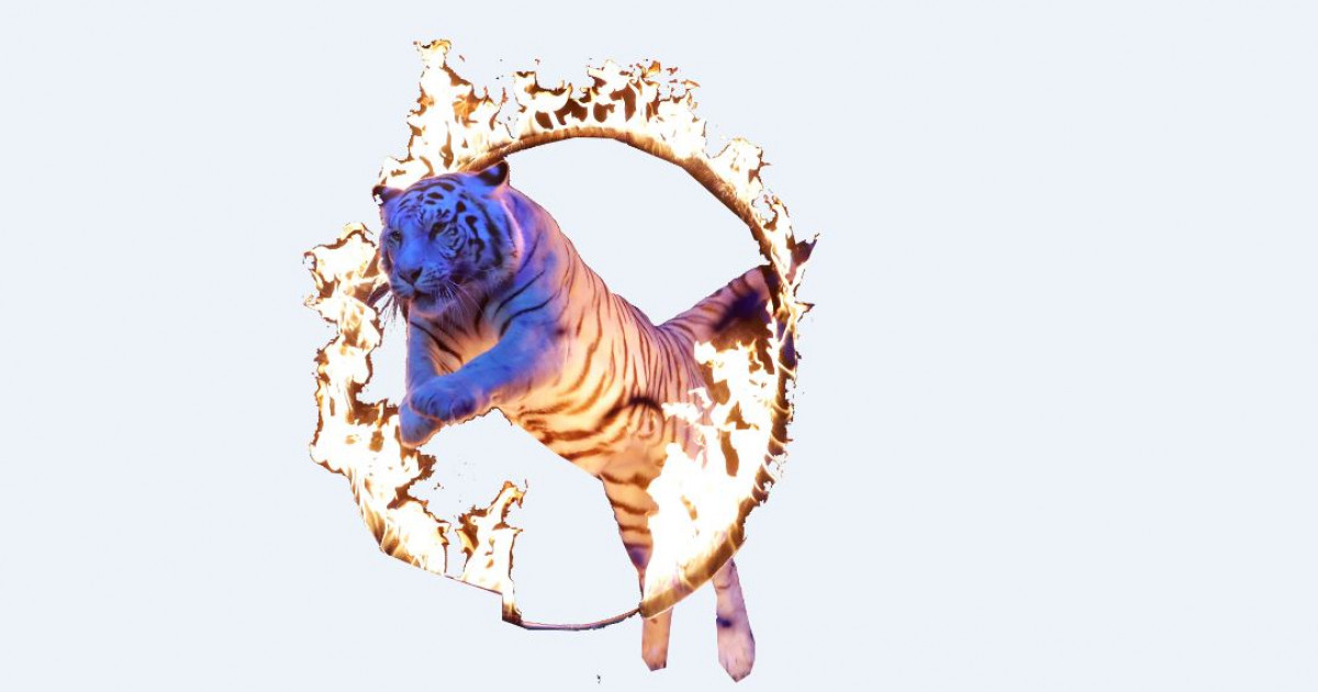 Цирк – тәуекелшілдер мекені