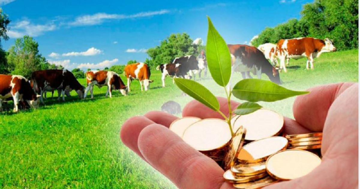 Мал өсіруге – арнайы несие