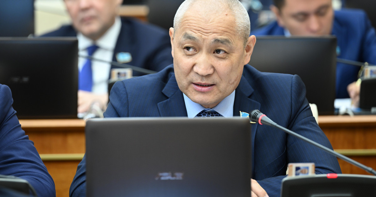 Әрбір делдал жылына кемінде 1 миллиард теңге таза пайда көреді – Еділ Жаңбыршин