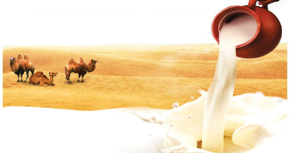 Шұбаттан шипалы сусын жасаған