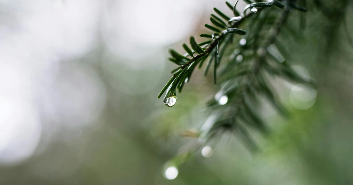 Жауын-шашын, көктайғақ: еліміздің 6 өңірінде ауа райына байланысты ескерту жасалды