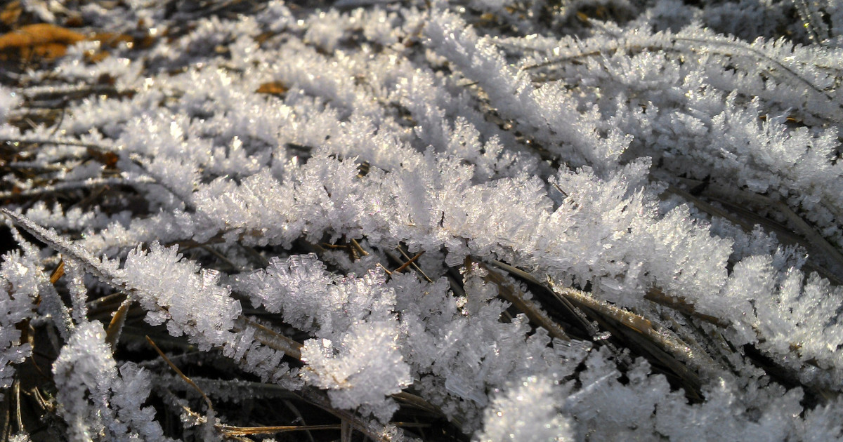 8 градус аяз: 23-25 сәуірге ауа райы болжамы жарияланды